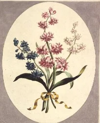 Østlige Hyacinter