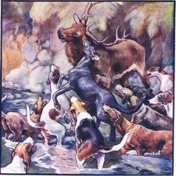 En enorm kamp fandt sted, hele flokken er over ham (farve litho)