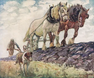 Pløjning af marken, illustration fra 