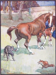 The Mare Lifted Her Hoof, illustration til Reynard the Fox, fra Animal Legends from Many Lands, udgivet af Raphael Tuck & Sons Ltd.