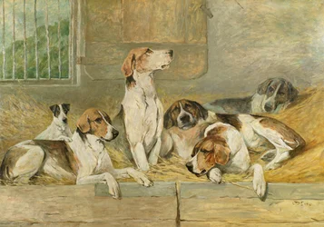 Hunde