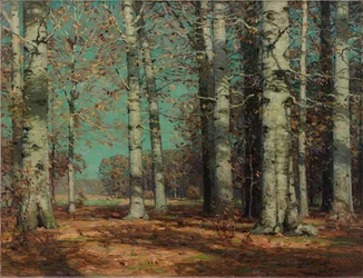 Efterårsbøge