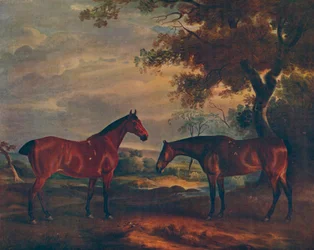 Yorkshire Hunters at Grass, c1840, 1922