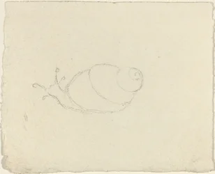 Snegle [recto and verso]