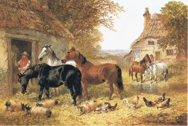 Heste i en gård