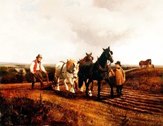 Pløjning