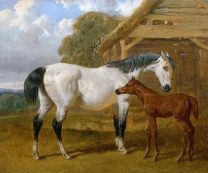 En hoppe og føl før en lade, 1854