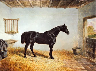 Portræt af en hingst stående i en stald (olie på panel)