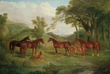 Streatlam Stud, Hopper og Føl, 1836