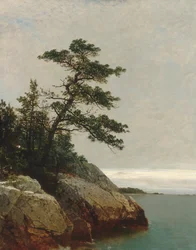 The Old Pine, Darien, Connecticut, 1872.
