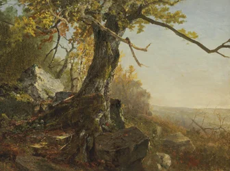 Træ i et landskab