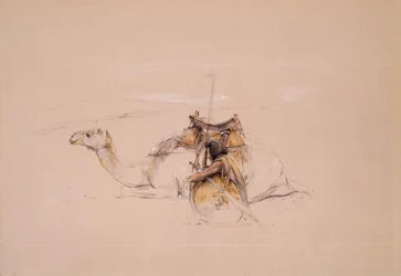 En bisharin-araber ved sin kamel (blyant og akvarel)
