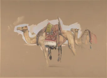 To kameler, ca. 1843.