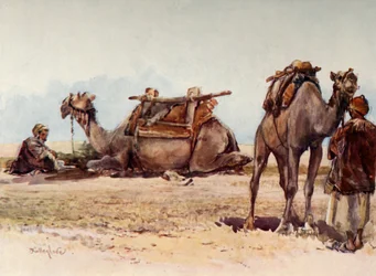 Studie af kameler og ledsagere, 1902.