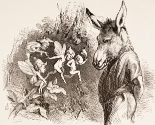 Illustration til A Midsummer Night