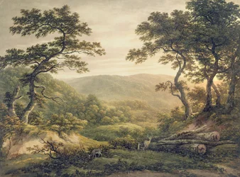 Needlewood Forest, Hampshire (akvarel på papir)