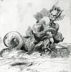 Illustration af et havmonster, 1700-tallet