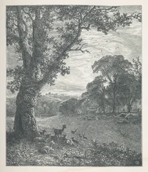 Plade 3. Hjorte omkring et træ.  Naturbilleder. En serie på tredive originale illustrationer tegnet på træ af J. H. Dell og graveret af R. Paterson.  John Henry Dell
