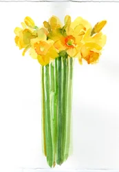 Narcissus-buket; 2014; (akvarel)