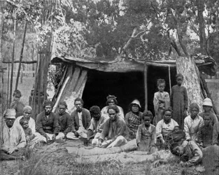 Lokale i Queensland (Australien) (s/h-billede)