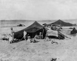 lejr i Sahara-ørkenen, Afrika (s/h-billede)