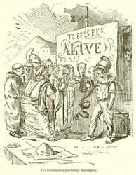 Ambassadørerne køber Aesculapius
