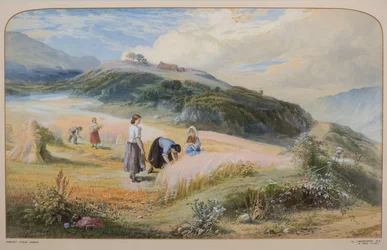 Høstmark, Arran