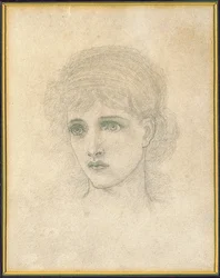 Head of a womandani