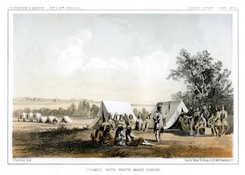 Råd med den hvide mands hest, 1856