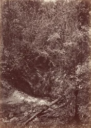 Darien-ekspeditionen, 1871 (foto)