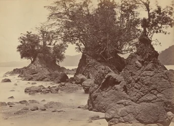 Øer, Limon Bay,1871 (foto)