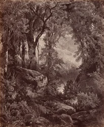 Ensomhed,1865 (foto)