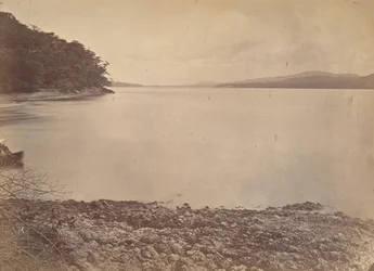 Tropical Scenery, Darien Harbour - Looking South, 1871.