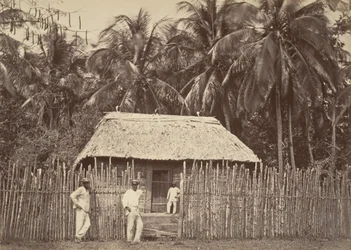 Tropisk landskab, Native Hut, Turbo, 1871.