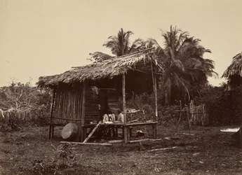 Tropisk landskab, Native Hut, Turbo, 1871.
