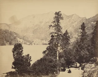 Nynee Tall fra South End, ca. 1858-1862 (foto)