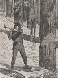 Tømmer om vinteren Hver lørdag, Vol. II, ny serie, 28. januar 1871.