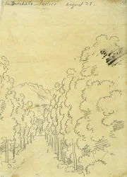 Woodland, fra et album med sporinger