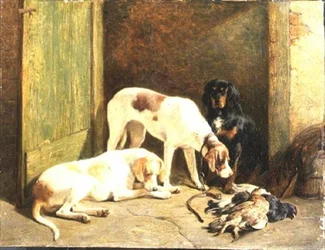 Pointers og en Gordon Setter