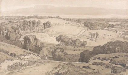 Holt Heath, nær Norwich