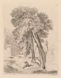 Liber Studiorum: Plade 18, Trees at Norwich Thorp, Norfolk, 1838.