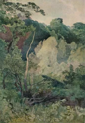 Træer nær Greta-floden, c1800-tallet
