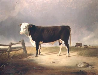 Kansleren