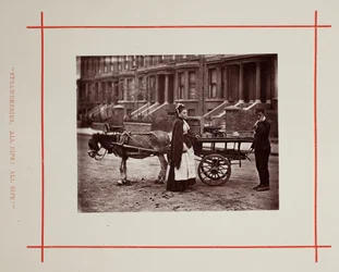 Jordbær. Alle modne! Helt moden!, 1877.