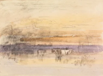 Kvægvanding ved solnedgang