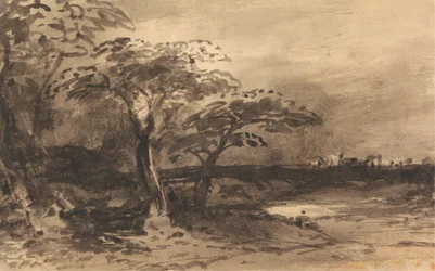 Flod, træer og fjern by