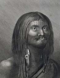 Polynesisk mand fra Nootka Sound, illustration af John Webber (1752-1793) lavet under tredje rejse (1776-1779) af James Cook (1728-1779),