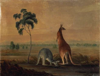 Kænguruer i et landskab, ca. 1819