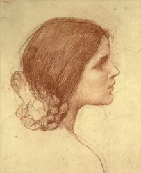 Head of a Girl, ca. 1905 (rødt kridt på papir)