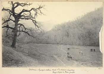 Razavi Khorasan-provinsen, Iran, ca. 1908 (s/h-foto)